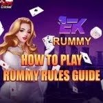 ex rummy